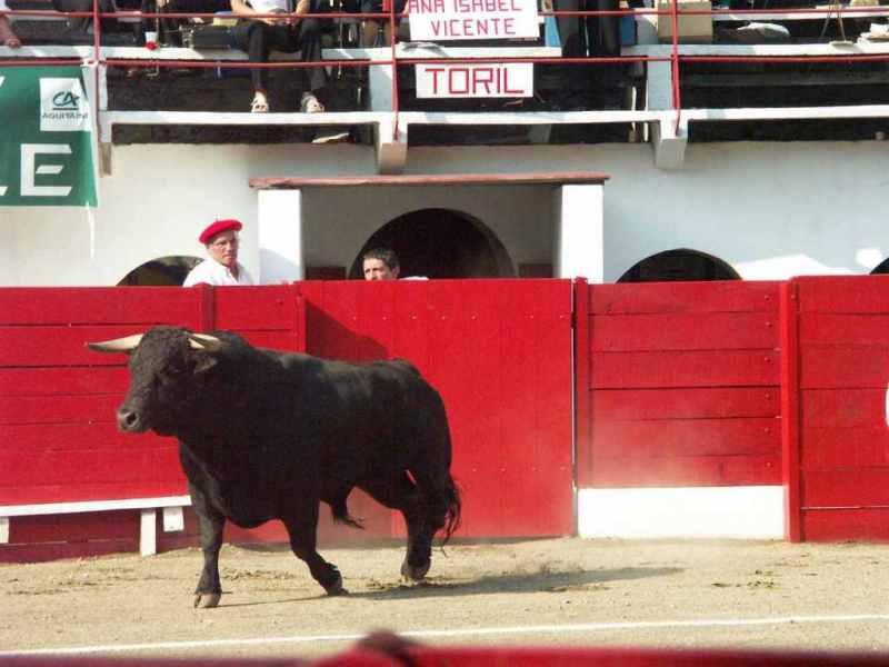 2004-07-31_2219_Salvador_Cortes.JPG