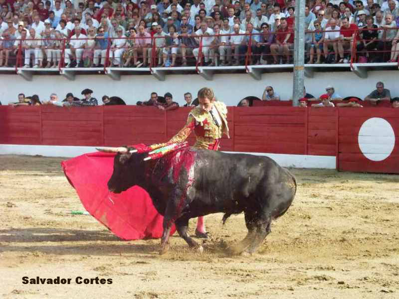 2004-07-31_2231_Salvador_Cortes.JPG
