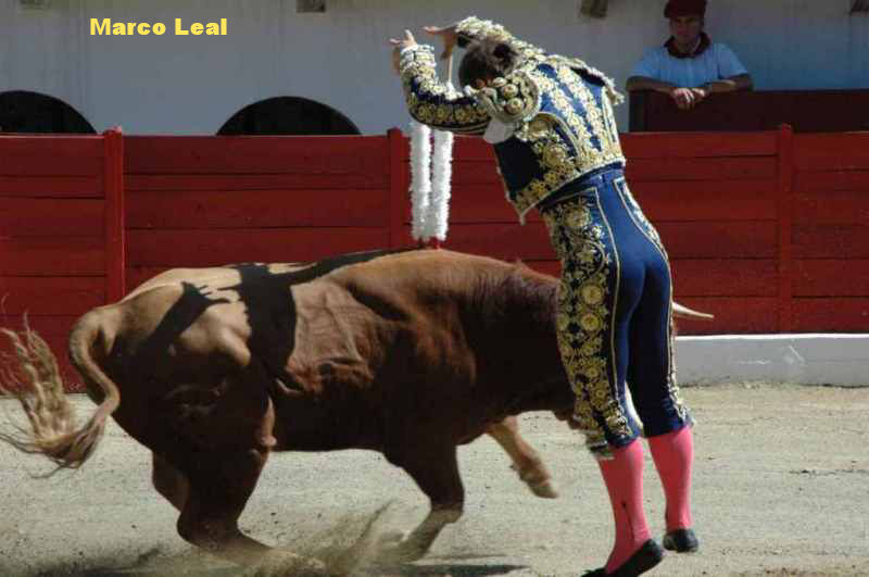 2005-08-06_2359_Marco_LEAL.JPG