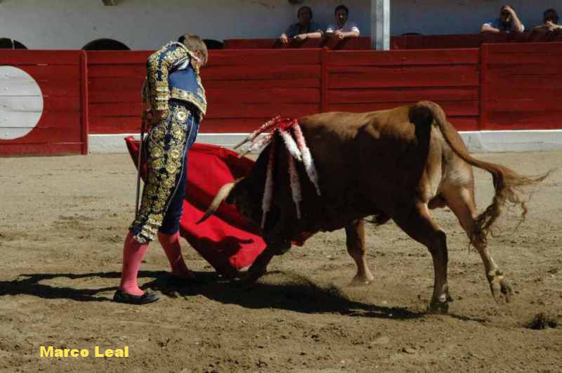 2005-08-06_2369_Marco_LEAL.JPG