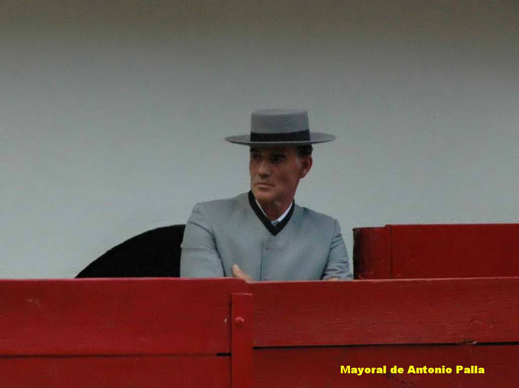 04a_mayoral_6517.JPG