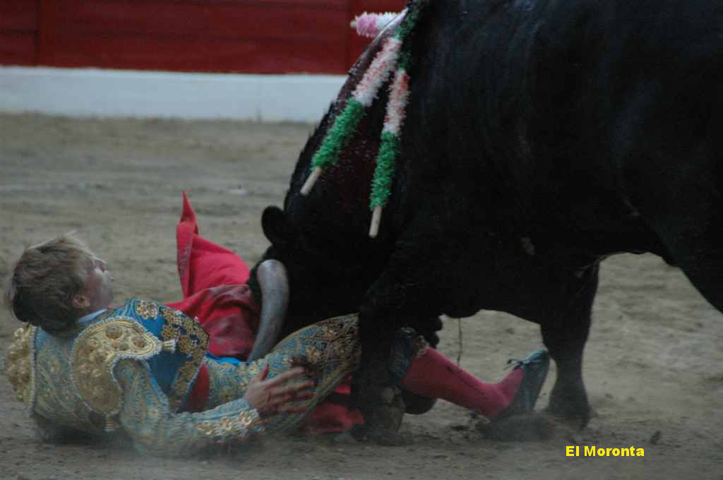 05_El_Moronta_6501.JPG