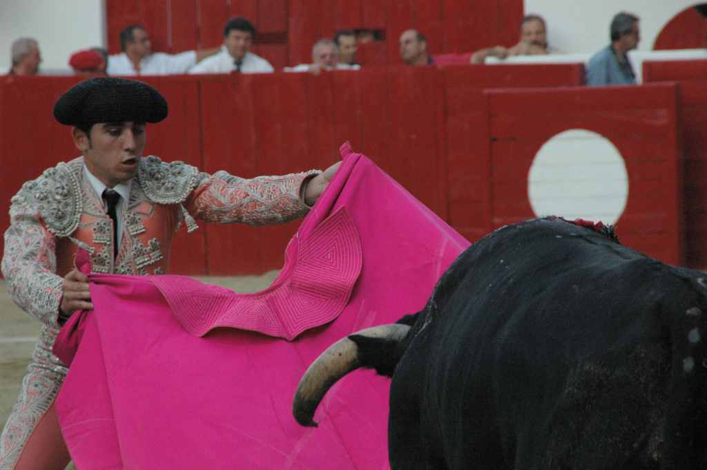 06_Salvador_FUENTES_6530.JPG