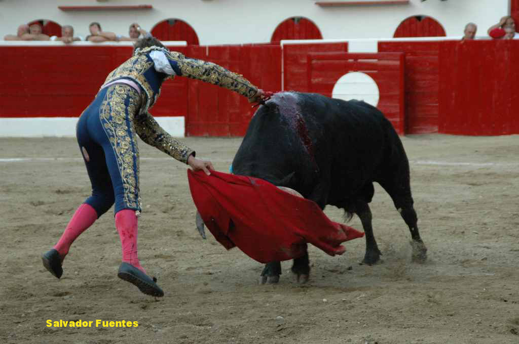 06_Salvador_FUENTES_6531.JPG
