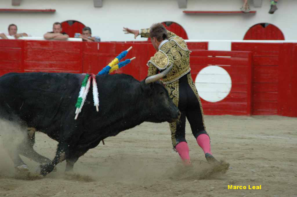 07_Marco_LEAL_6536.JPG