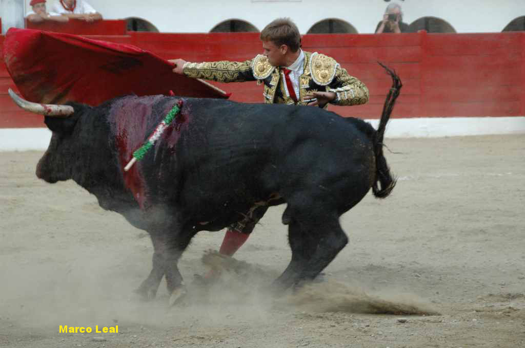 07_Marco_LEAL_6537.JPG