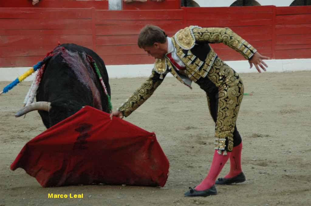 07_Marco_LEAL_6538.JPG