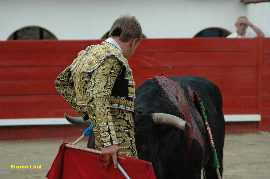 07_Marco_LEAL_6545.JPG