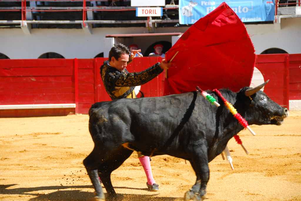 0040_Mario_Guiaro_DSD_2536.JPG