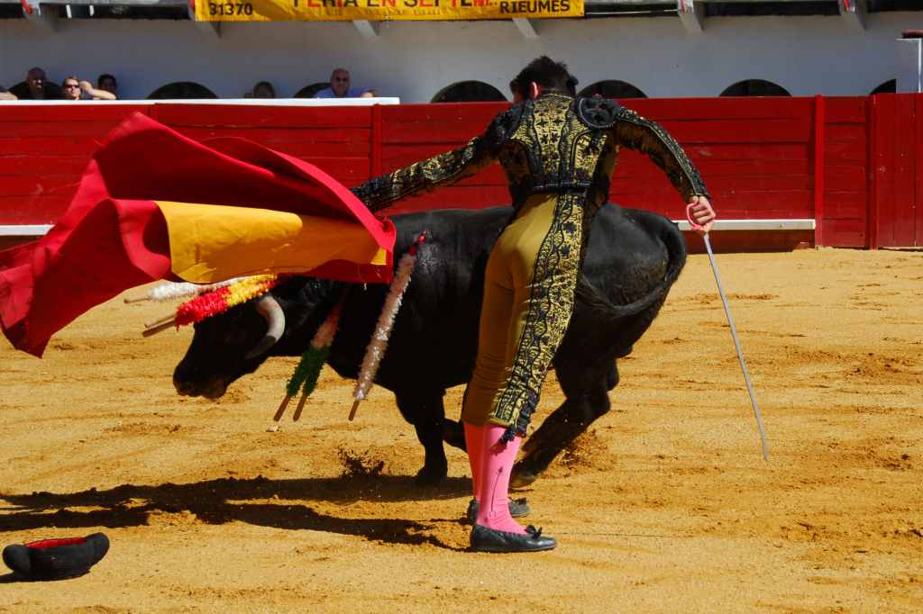 0110_Mario_Guiaro_DSD_2543.JPG