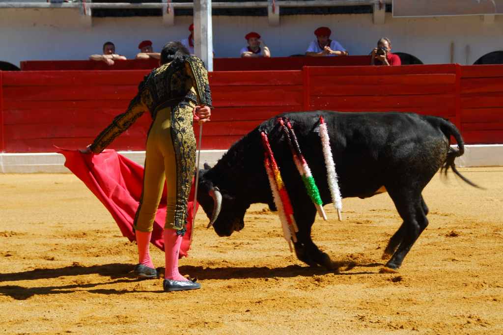0120_Mario_Guiaro_DSD_2544.JPG