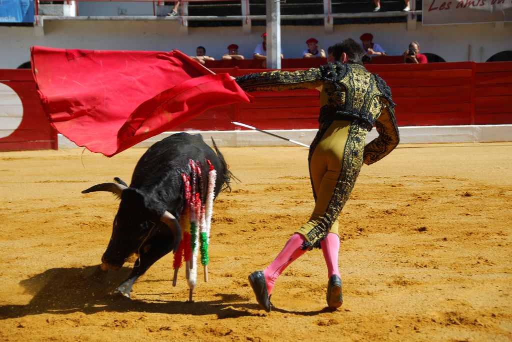 0140_Mario_Guiaro_DSD_2546.JPG