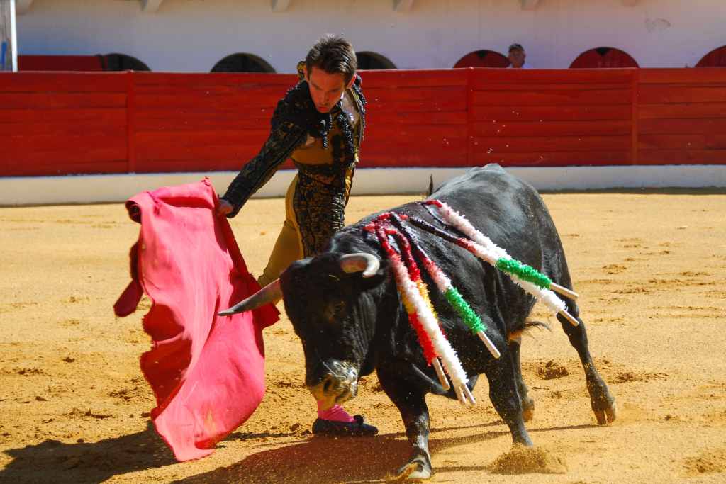 0160_Mario_Guiaro_DSD_2548.JPG