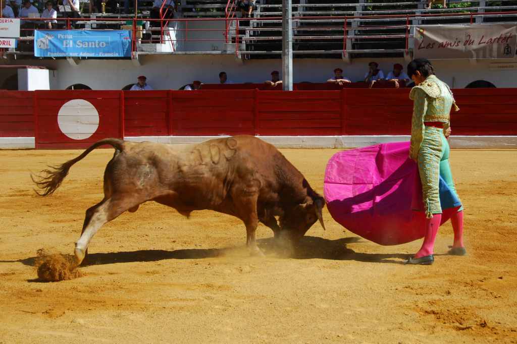 0230_Tomasito_DSD_2559.JPG