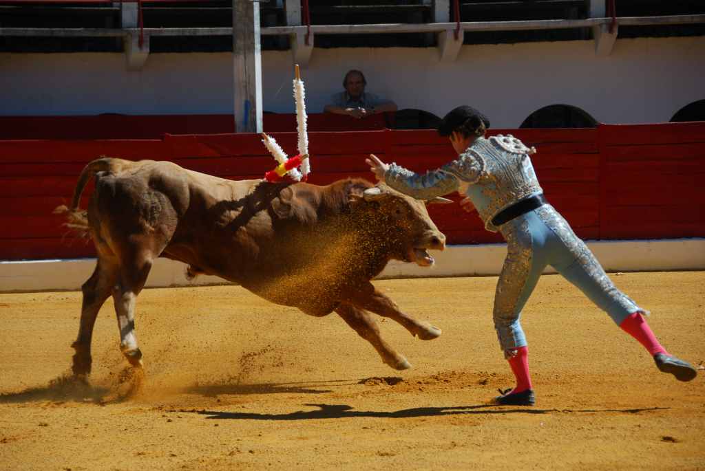 0300_Tomasito_DSD_2566.JPG