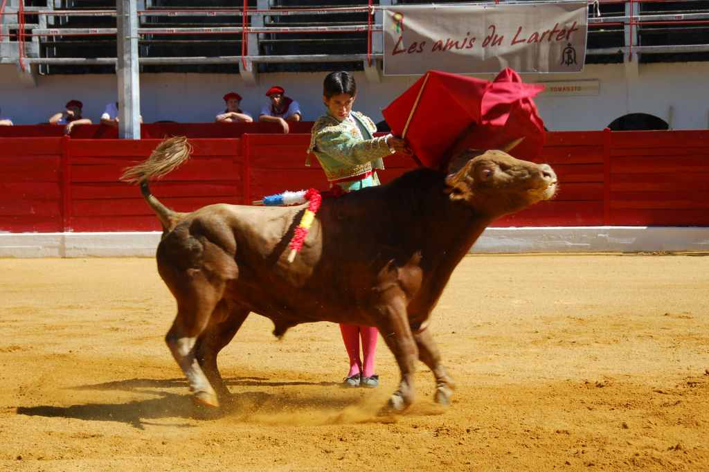 0310_Tomasito_DSD_2567.JPG