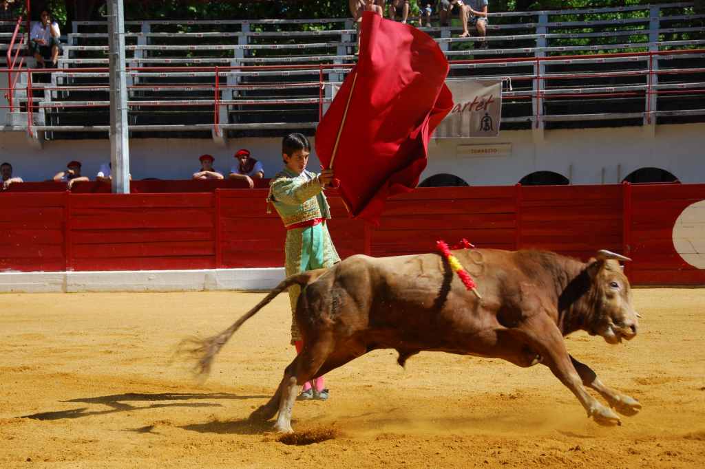 0320_Tomasito_DSD_2568.JPG