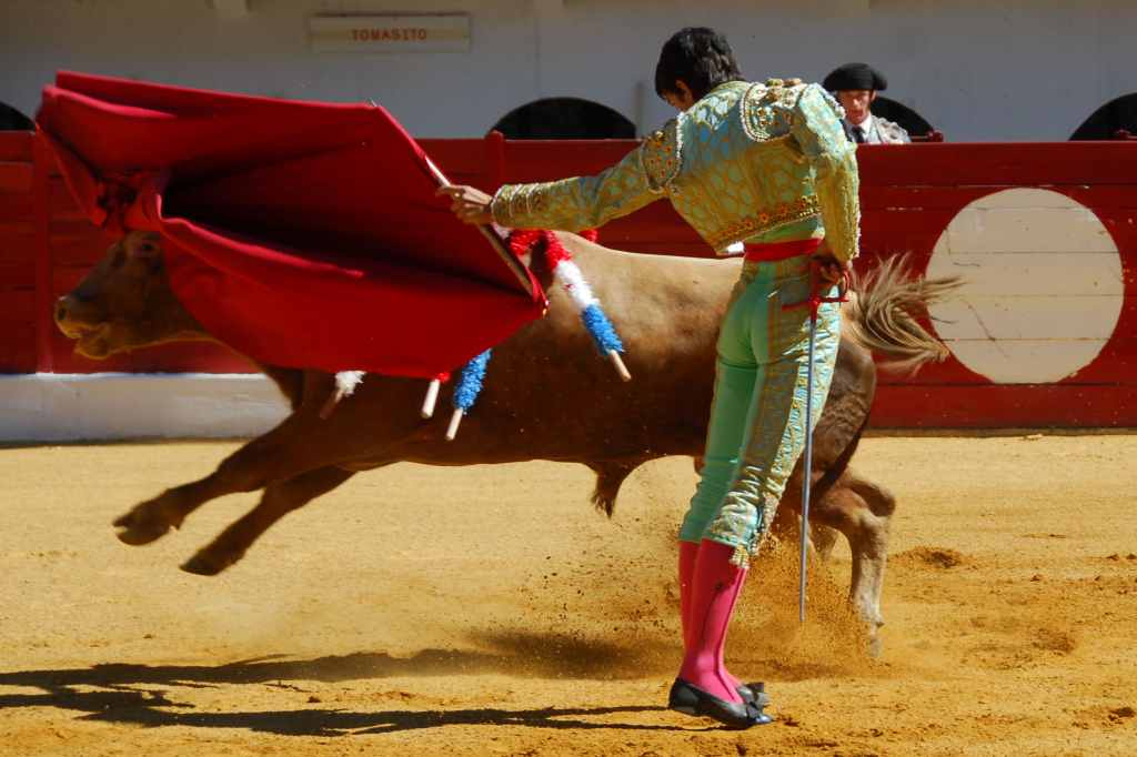 0350_Tomasito_DSD_2572.JPG