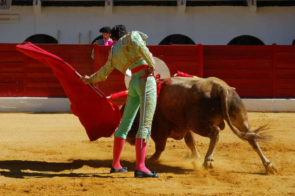 0370_Tomasito_DSD_2574.JPG