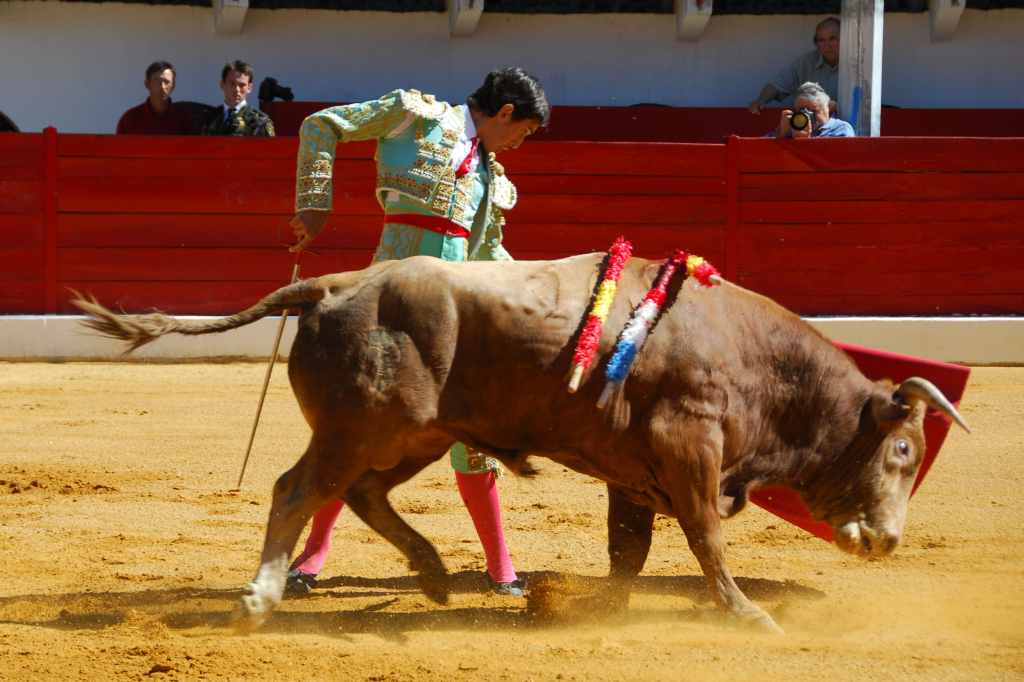 0380_Tomasito_DSD_2575.JPG