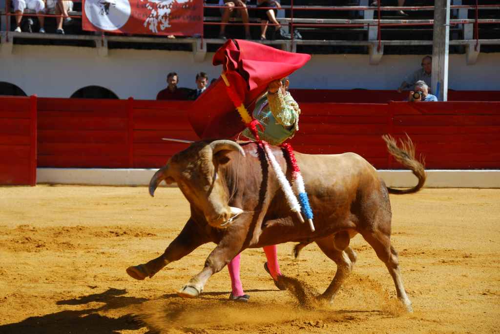 0390_Tomasito_DSD_2576.JPG