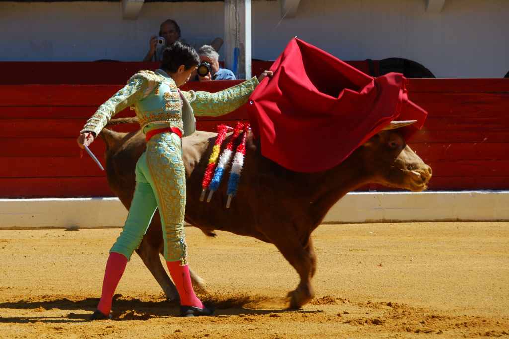 0400_Tomasito_DSD_2577.JPG