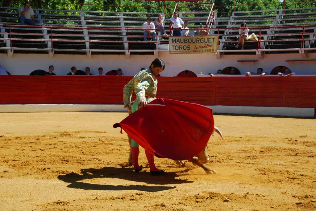 0420_Tomasito_DSD_2579.JPG