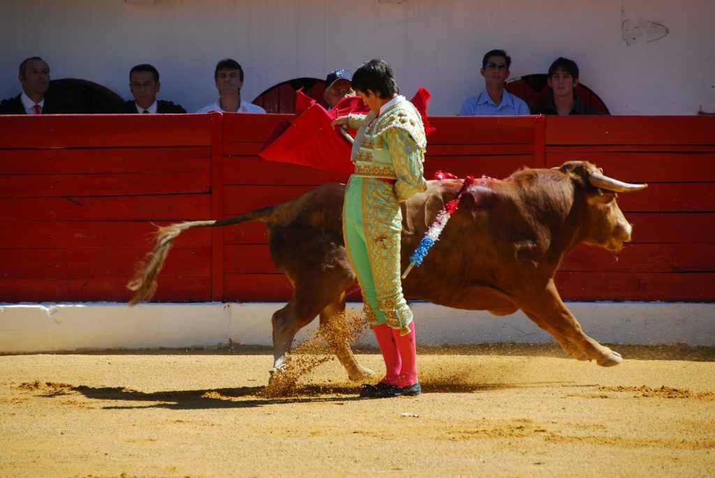 0430_Tomasito_DSD_2580.JPG