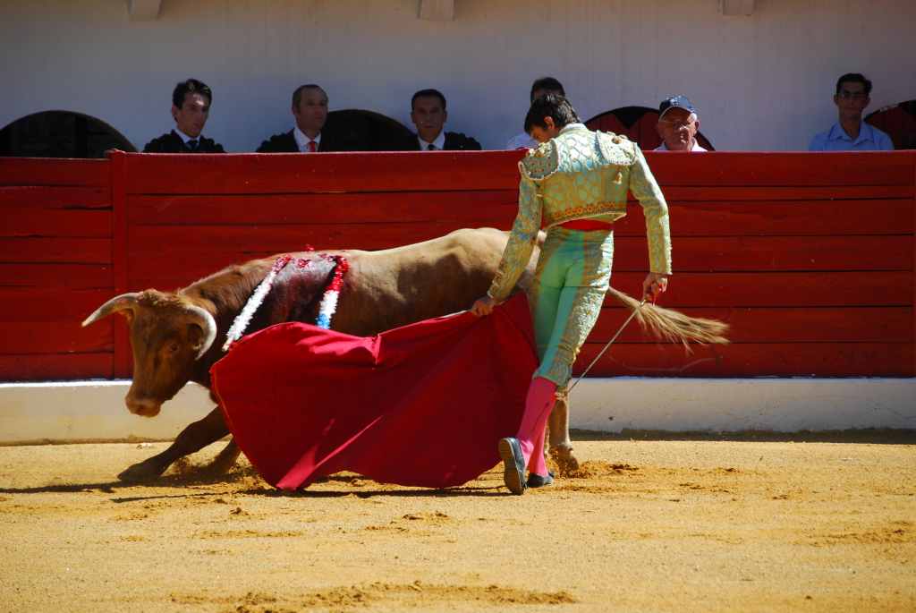 0450_Tomasito_DSD_2582.JPG