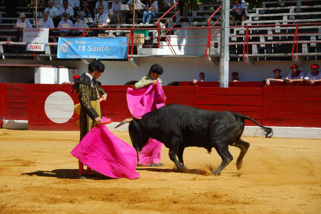 0540_Mario_Guiaro_et_Tomasito_DSD_2592.JPG