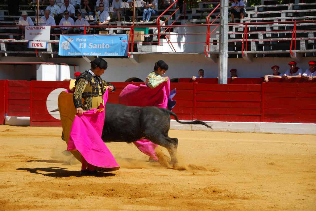 0550_Mario_Guiaro_et_Tomasito_DSD_2593.JPG