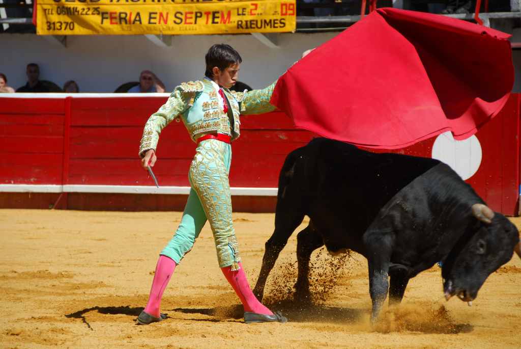 0580_Tomasito_DSD_2596.JPG
