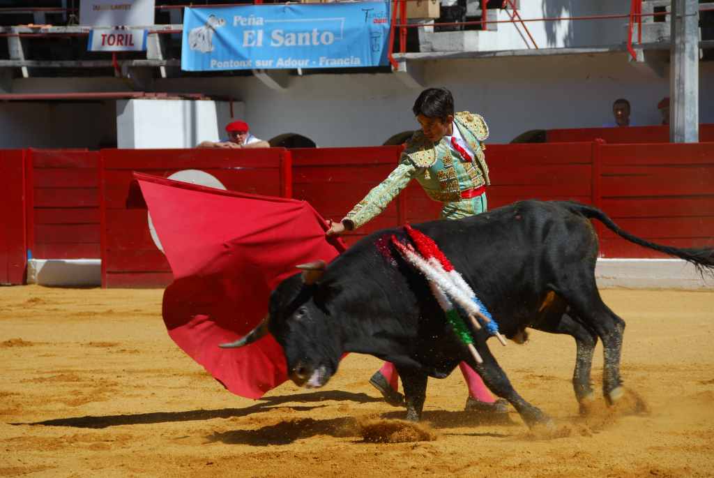 0590_Tomasito_DSD_2597.JPG
