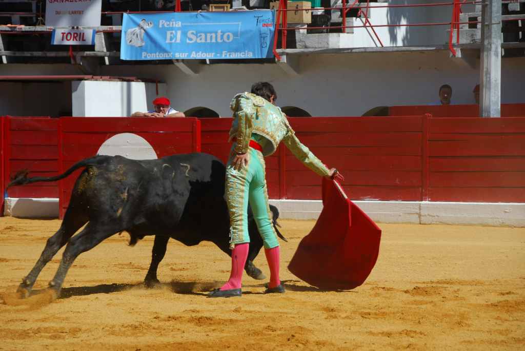 0600_Tomasito_DSD_2598.JPG