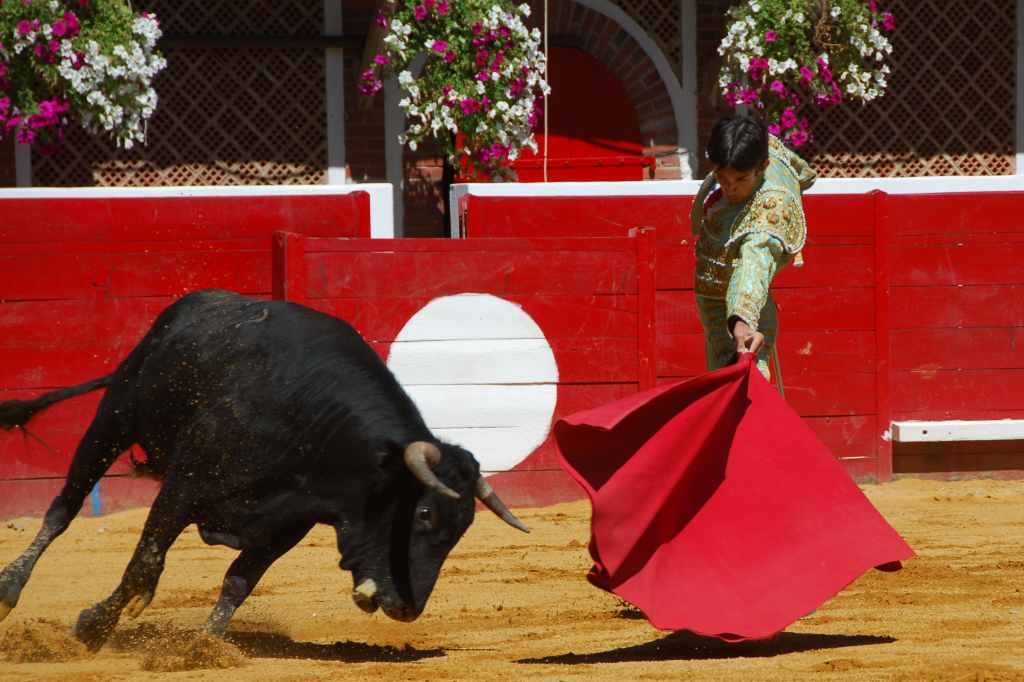 0620_Tomasito_DSD_2600.JPG