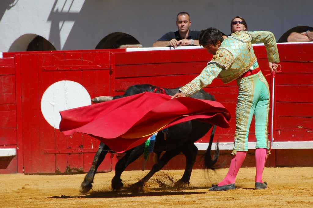 0670_Tomasito_DSD_2605.JPG