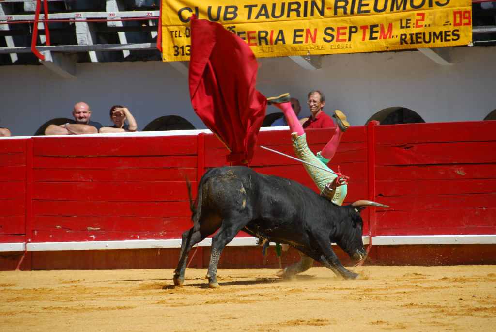 0690_Tomasito_DSD_2607.JPG