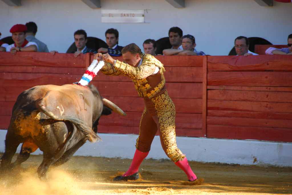0960_Marco_Leal_DSD_2641.JPG