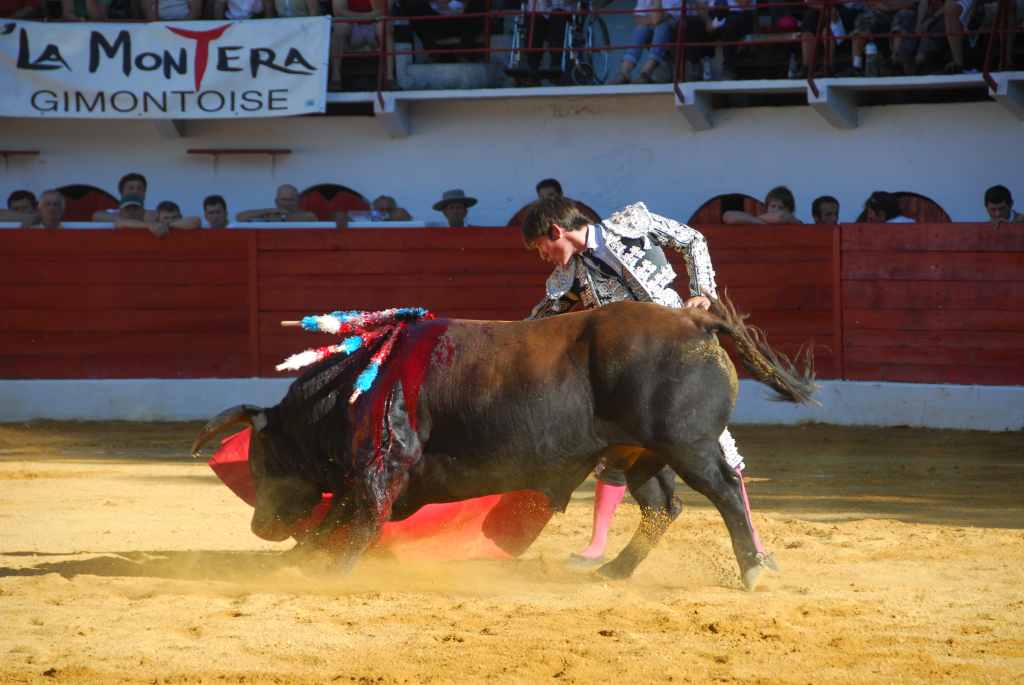 1020_El_Santo_DSD_2647.JPG