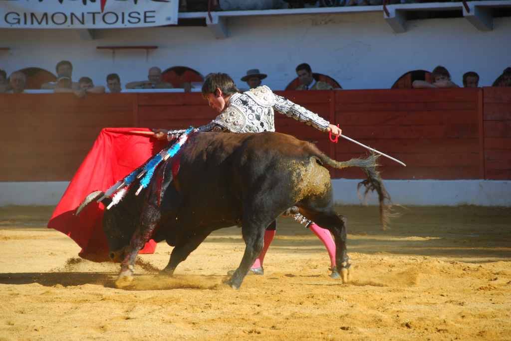 1050_El_Santo_DSD_2650.JPG