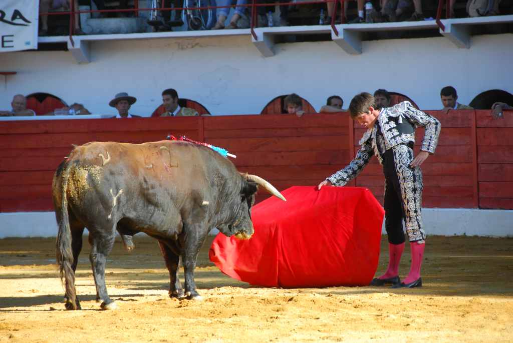 1060_El_Santo_DSD_2651.JPG