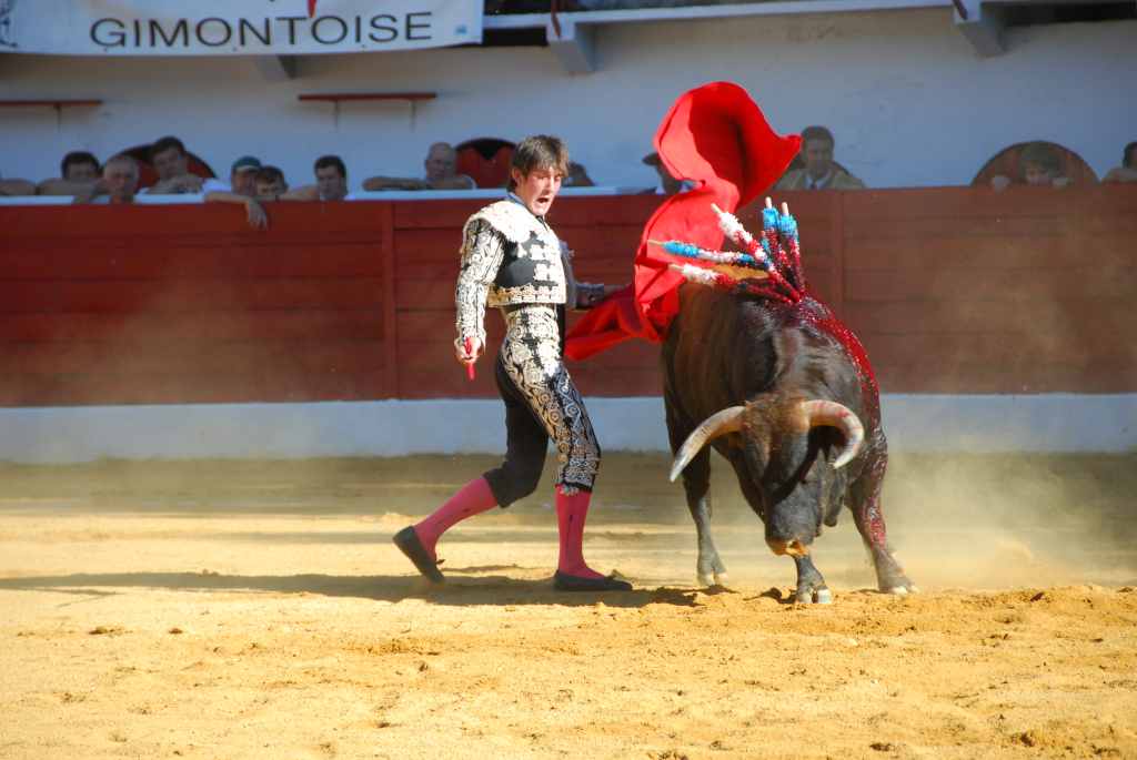 1100_El_Santo_DSD_2655.JPG
