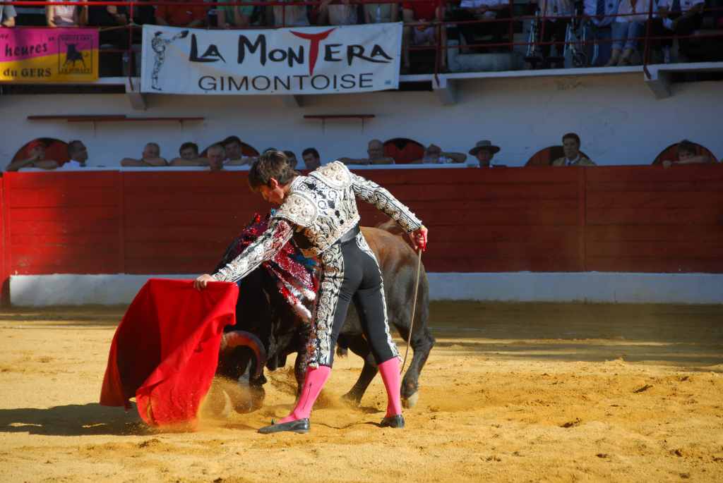 1110_El_Santo_DSD_2656.JPG