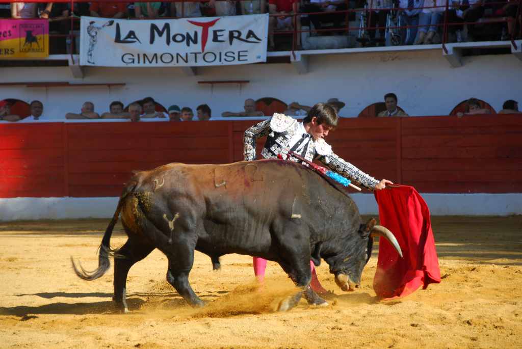 1130_El_Santo_DSD_2658.JPG