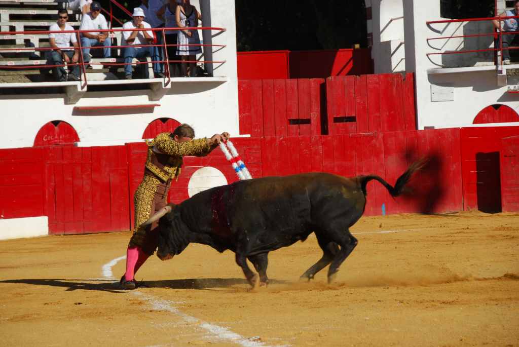 1160_Marco_Leal_DSD_2661.JPG