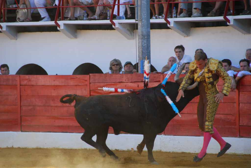1170_Marco_Leal_DSD_2662.JPG