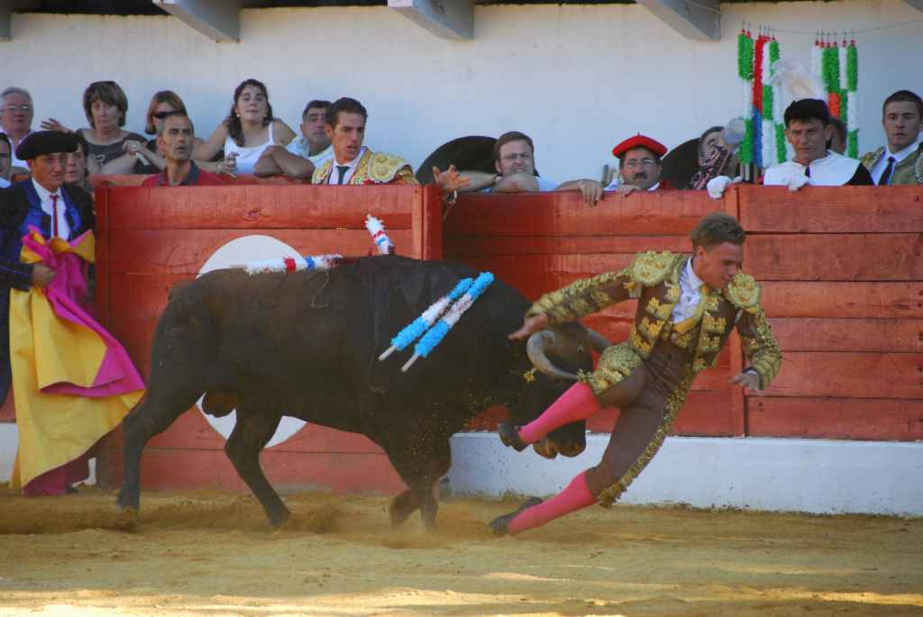 1180_Marco_Leal_DSD_2663.JPG