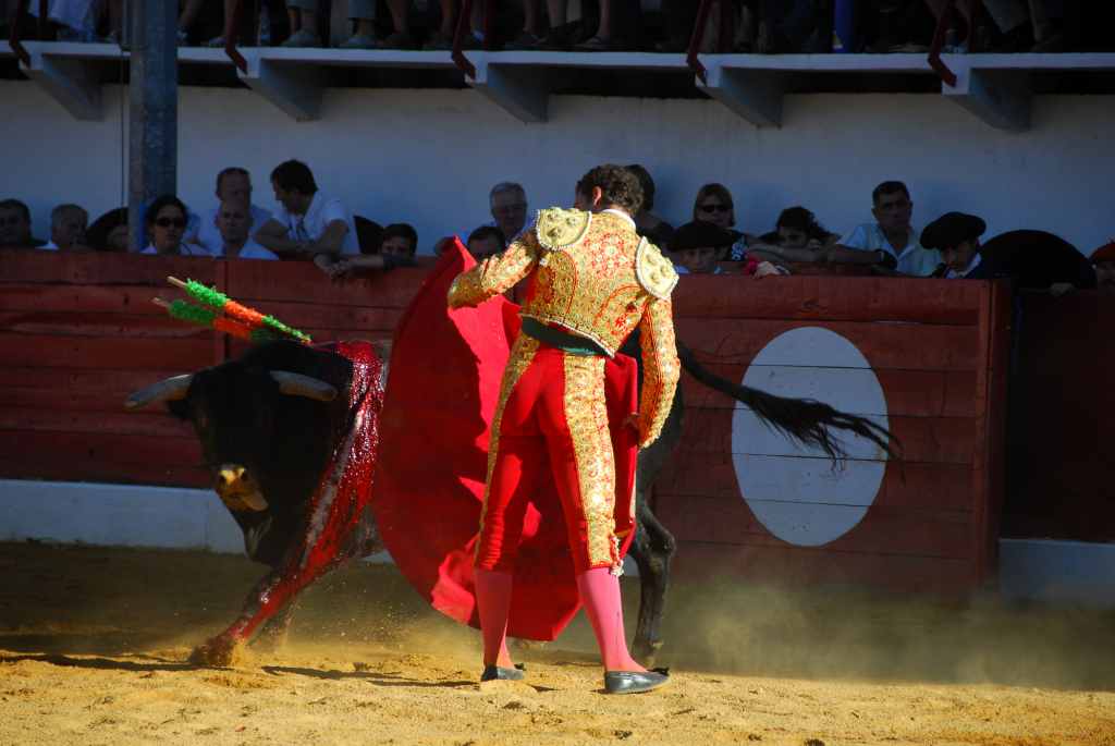 1290_Pepe_Moral_DSD_2676.JPG
