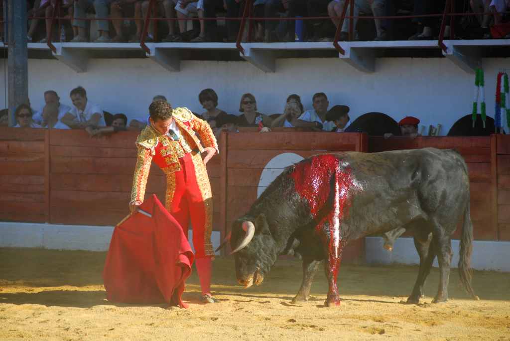 1310_Pepe_Moral_DSD_2678.JPG