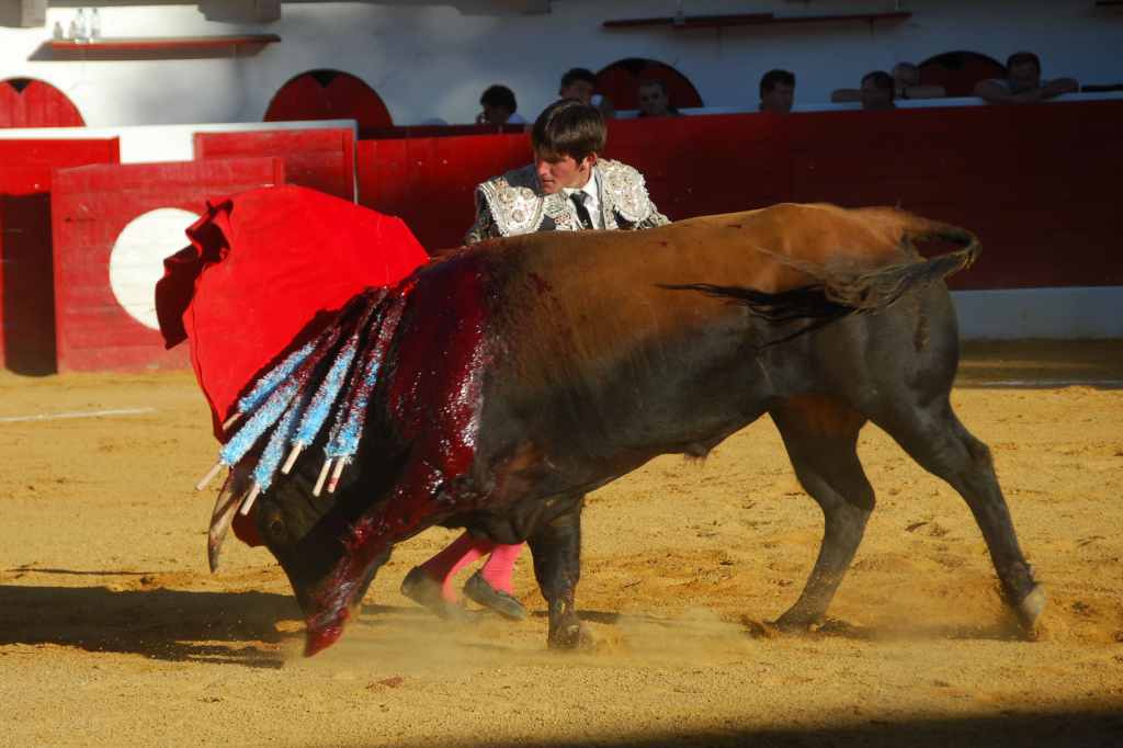1410_El_Santo_DSD_2688.JPG